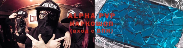 индика Дмитриев
