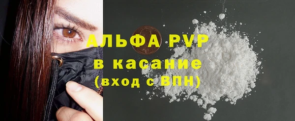 индика Дмитриев