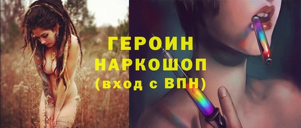 индика Дмитриев