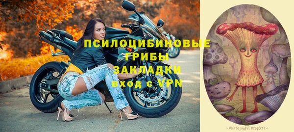 индика Дмитриев