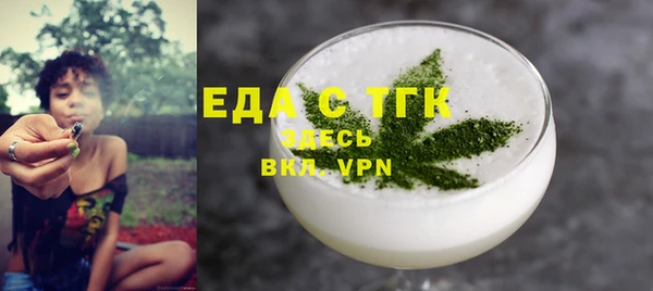 индика Дмитриев