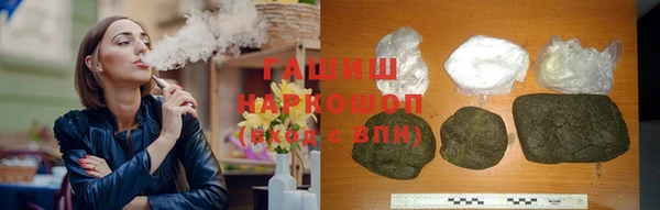индика Дмитриев