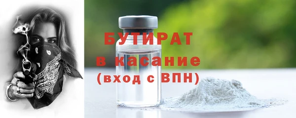 индика Дмитриев