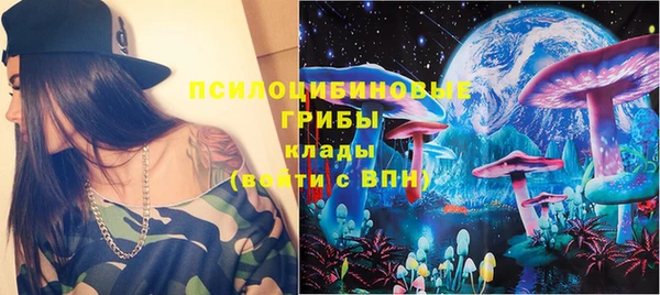 индика Дмитриев