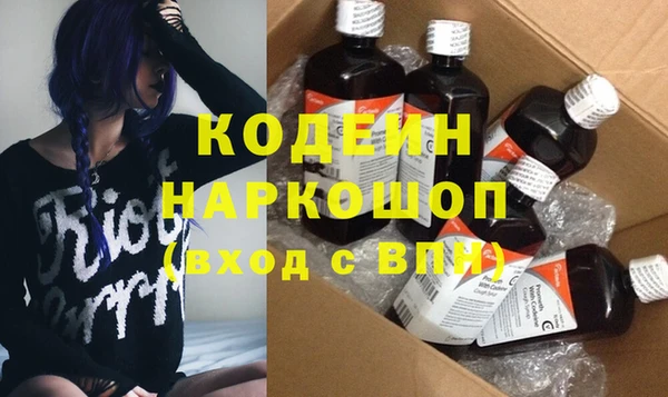 индика Дмитриев