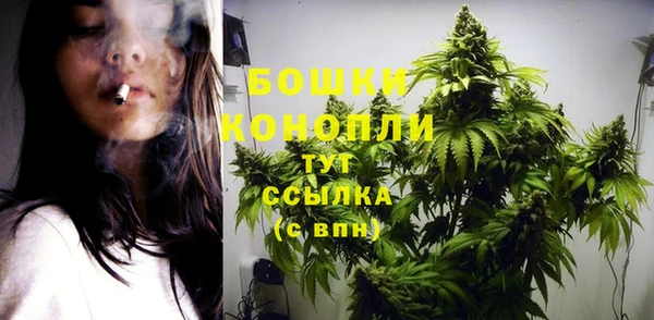 индика Дмитриев