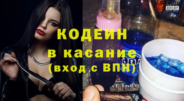 индика Дмитриев