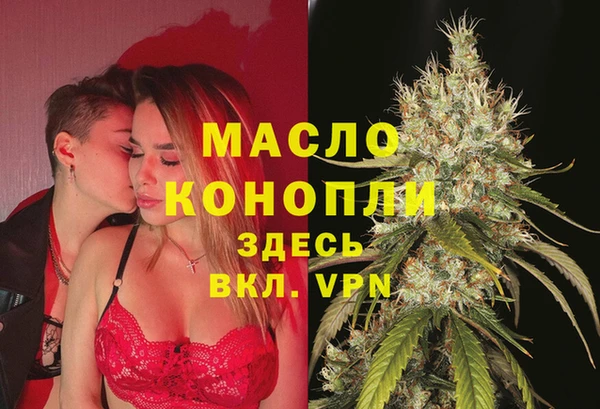 индика Дмитриев