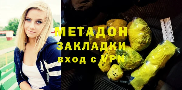 индика Дмитриев