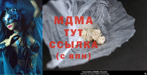 индика Дмитриев