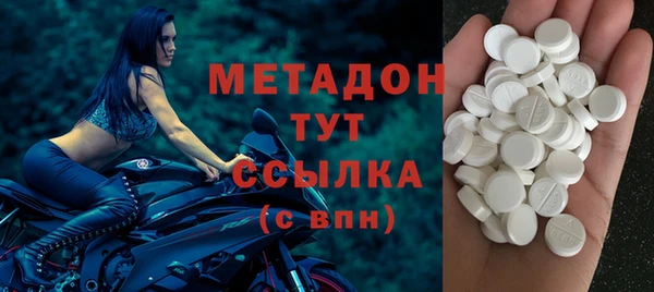 индика Дмитриев