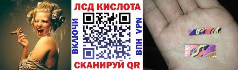 Марки 25I-NBOMe 1500мкг купить наркотики сайты Свободный