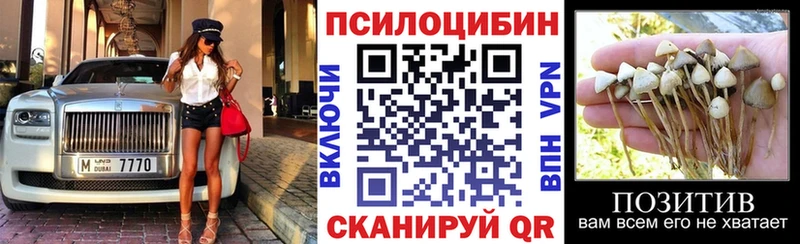 Псилоцибиновые грибы ЛСД  гидра вход  Свободный 