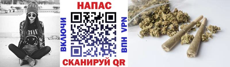 Конопля SATIVA & INDICA  цена   Свободный 